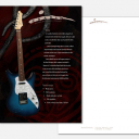 Shaman Guitars: Logo design, concept design and participating to the guitar\'s visual design.